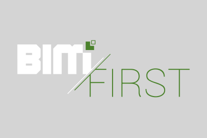 Experience - Bim First